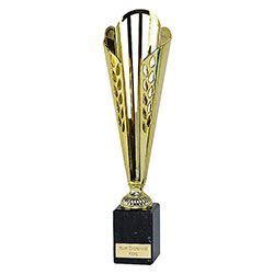 Gold  Tycone Gold Cup 34cm