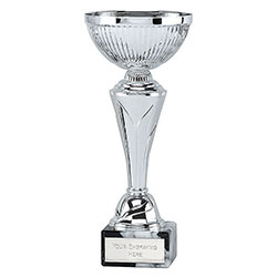 Silver  Torch Cup 28cm