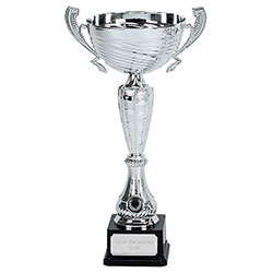 Silver Surge Silver Cup 42cm