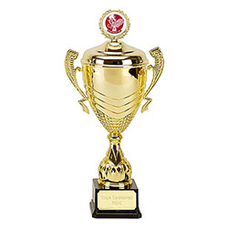 Gold Link Prestige Gold Cup 42cm