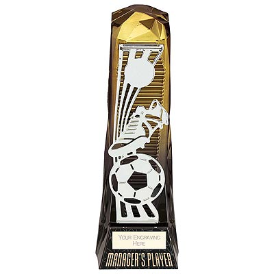 Shard Boot and Ball Managers Player Award 230mm