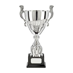 Champion Silver Super Cup 465mm